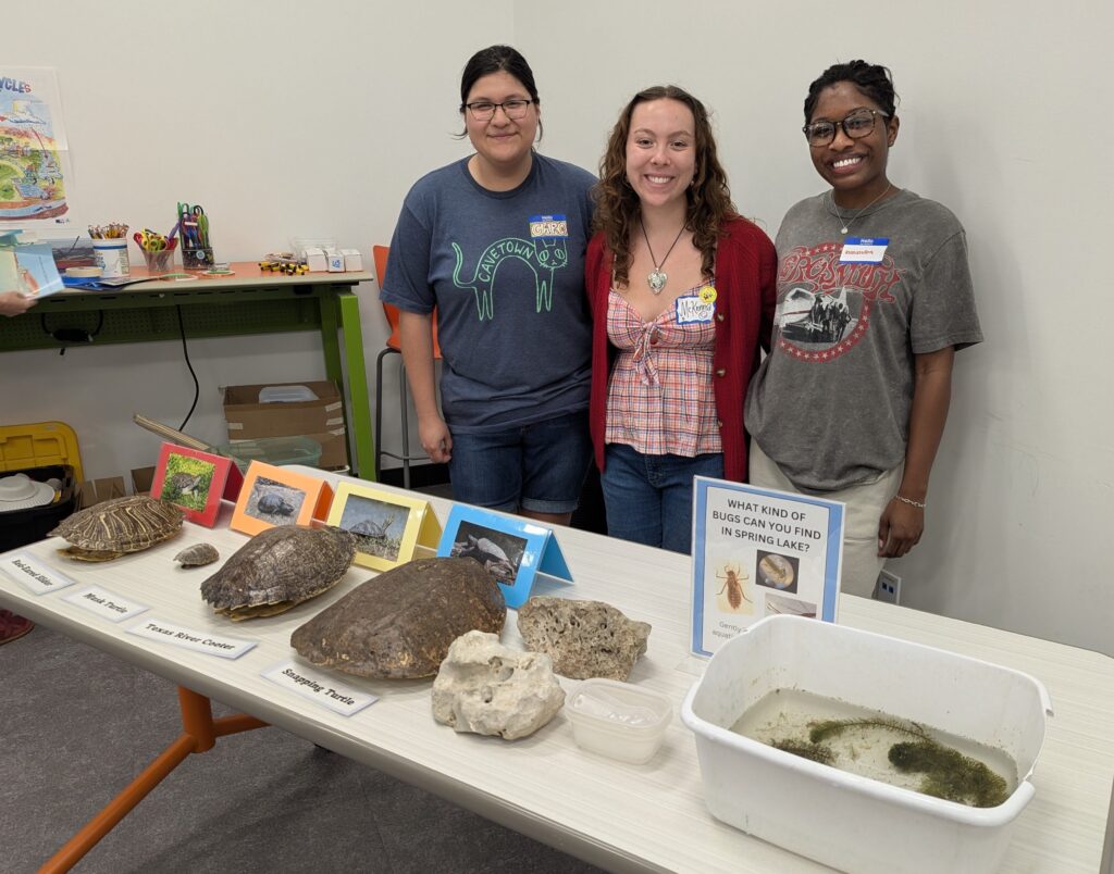 Library staff and facilitators at a One Water table with local wildlife specimens
